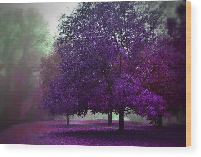 Purple Trees Wood Print featuring the photograph Purple Trees by Marilyn MacCrakin