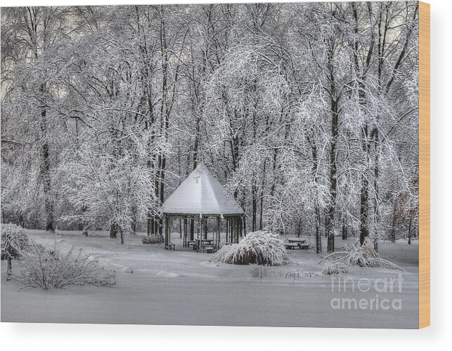 Snow Wood Print featuring the photograph QUIETE PLACE-winter by Robert Pearson