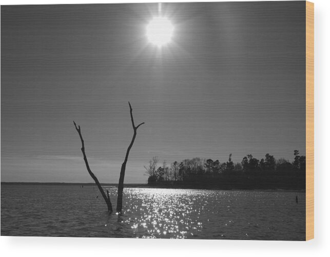 Skyline Wood Print featuring the photograph Rayburn Sky by Max Mullins