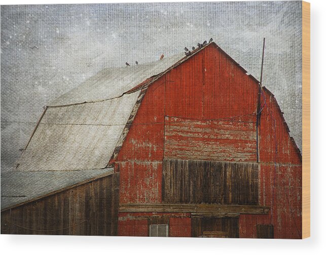Barn Wood Print featuring the photograph Red Barn And First Snow by Theresa Tahara