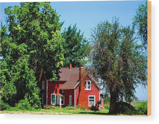Barn Wood Print featuring the photograph Red Barn and Trees by Matt Quest