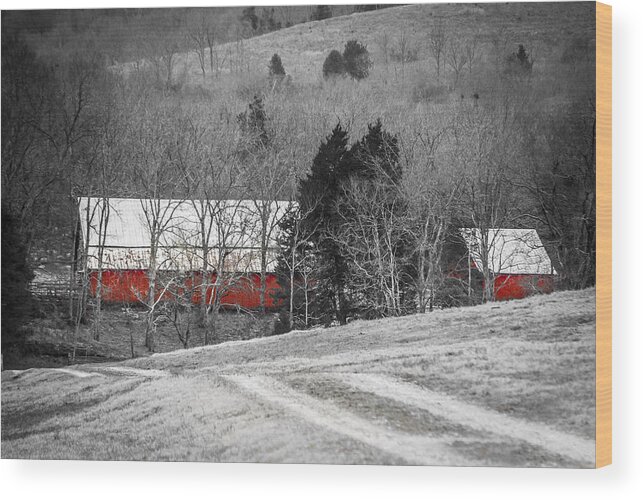 Tennesee Wood Print featuring the photograph Red Barn No 2 by Debbie Karnes