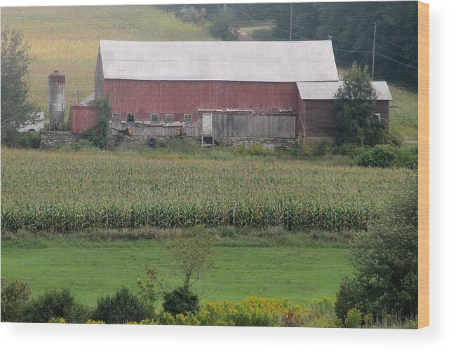 Landscape Wood Print featuring the photograph Red Barn on the Hill by Loretta Pokorny