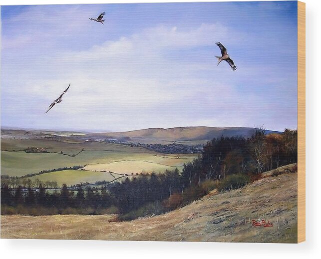  Red Kites Wood Print featuring the painting Red Kites at Coombe Hill by Barry BLAKE