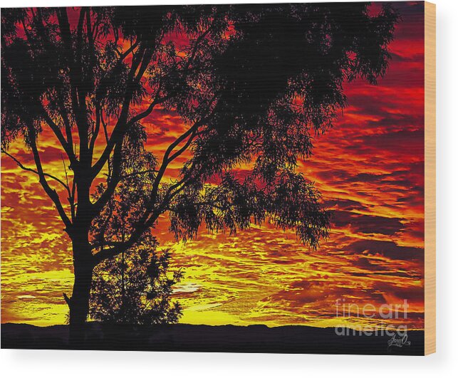 Sky Wood Print featuring the digital art Red Sky by Janice OConnor