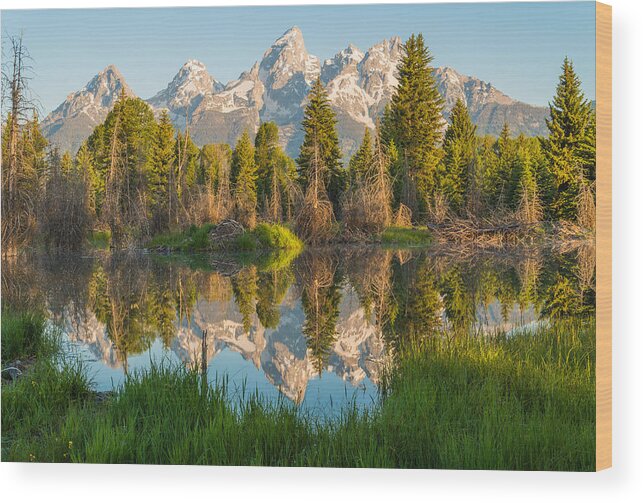 Grand Teton Wood Print featuring the photograph Reflecting on Everything by Kristopher Schoenleber