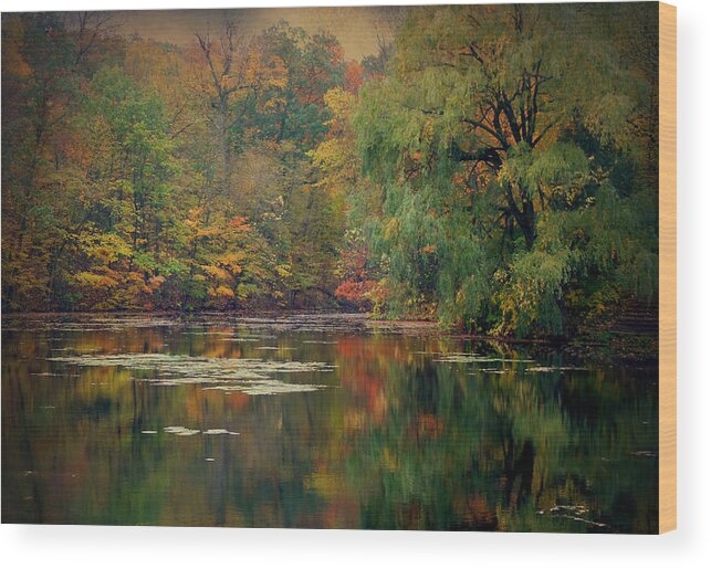 Terry Tanner Wood Print featuring the photograph Reflections of Fall by Terry Eve Tanner