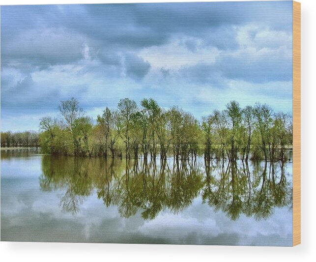 Spring Wood Print featuring the photograph Reflections of Spring by Julie Dant