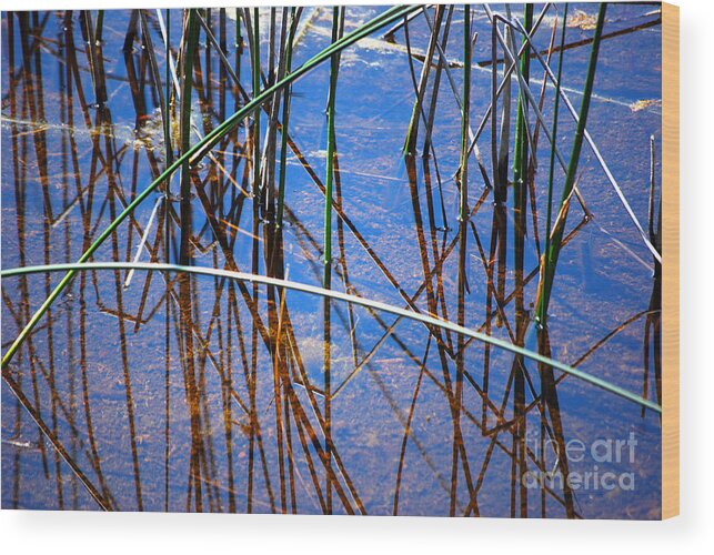 Landscape Wood Print featuring the photograph Ridges Reflection by Jim Rossol