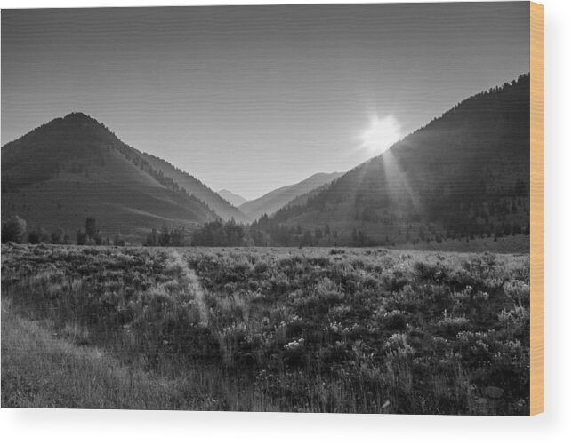Rebecca's Private Idaho Wood Print featuring the photograph Rising Sun Idaho by Eric Benjamin