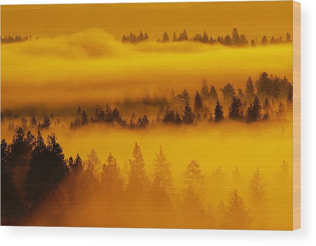 Fog Wood Print featuring the photograph River Fog Rising by Ben Upham III