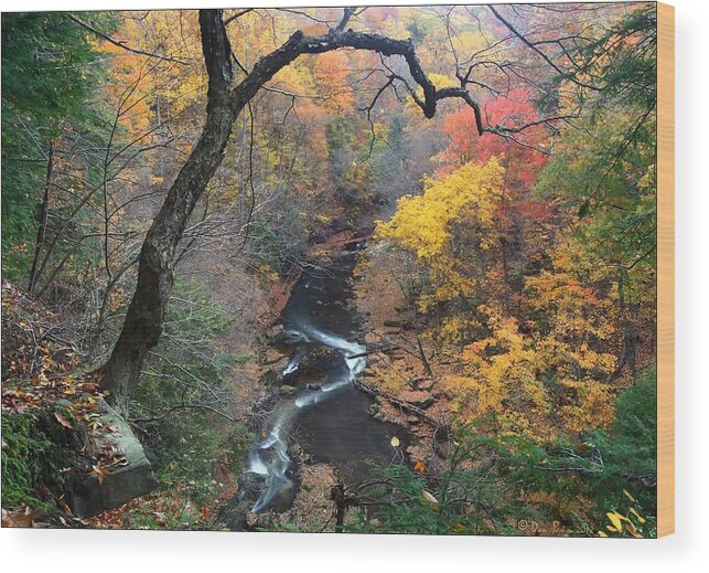 River Wood Print featuring the photograph River Gorge by Daniel Behm