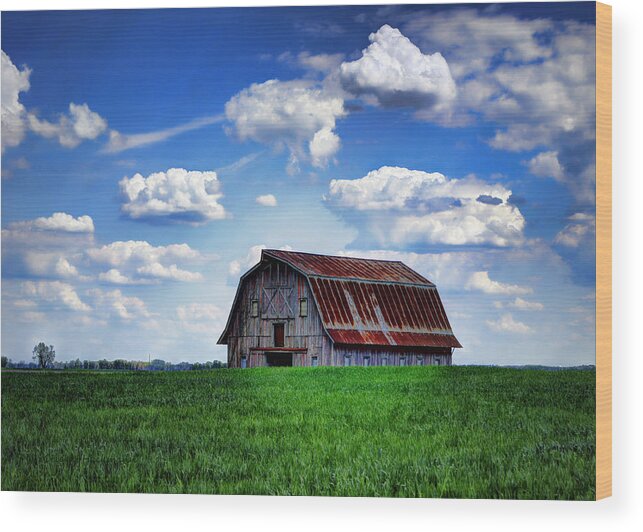 Barn Wood Print featuring the photograph Riverbottom Barn Against the Sky by Cricket Hackmann