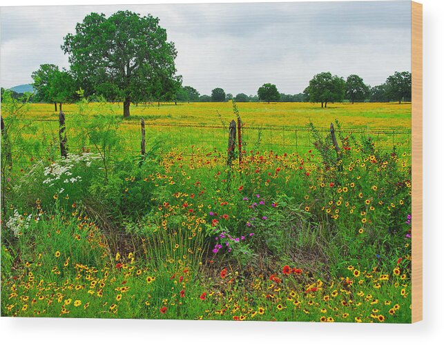 Wildflowers Wood Print featuring the photograph Roadside Bonanza by Lynn Bauer