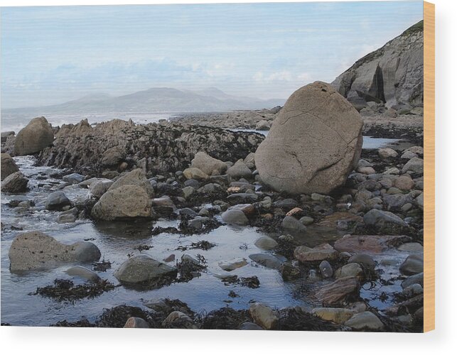 Water's Edge Wood Print featuring the photograph Rock Pools And Seaweed On Welsh Coast by Anthiacumming