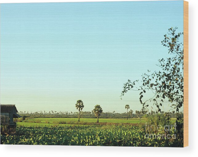 Cambodia Wood Print featuring the photograph Rural Cambodia by Rick Piper Photography