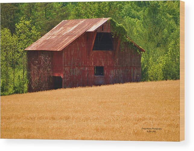 Barn Wood Print featuring the photograph Rusty Coat by Eric Liller
