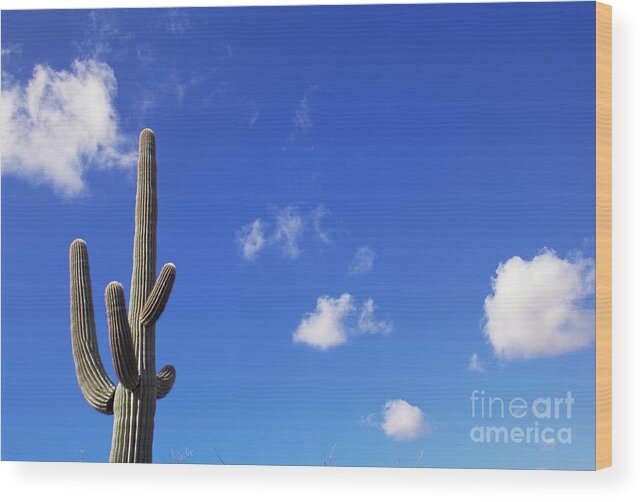 00343656 Wood Print featuring the photograph Blue Sky, Saguaro and Clouds by Yva Momatiuk and John Eastcott