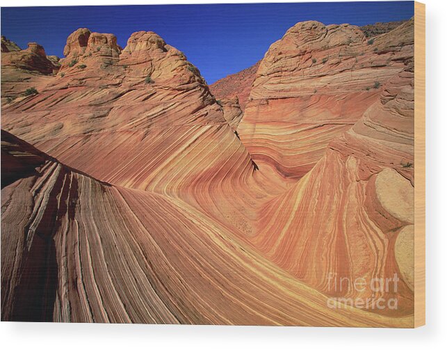 00341138 Wood Print featuring the photograph Sandstone Buttes Colorado Plateau by Yva Momatiuk John Eastcott