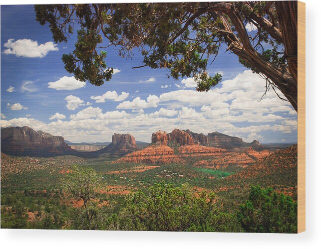 Scenic Wood Print featuring the photograph Scenic Sedona by Barbara Manis