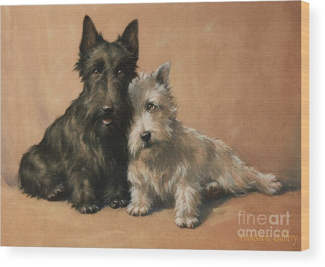 Motion Wood Print featuring the painting Scottish Terrier by Celestial Images