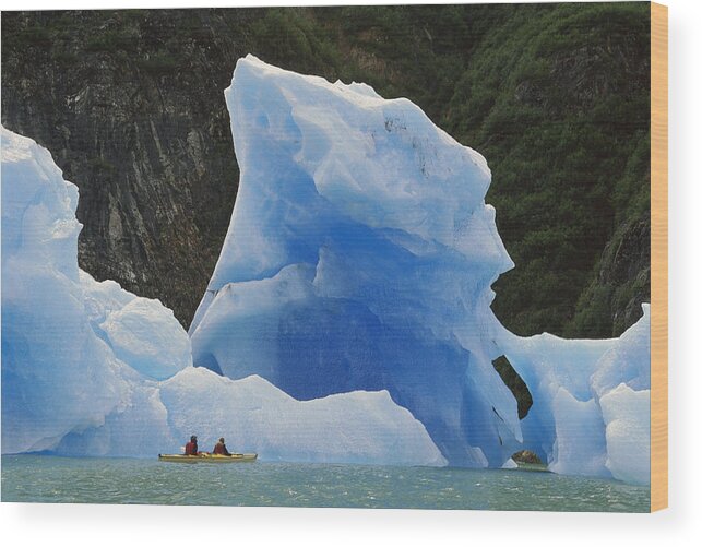 Feb0514 Wood Print featuring the photograph Sea Kayaking With Icebergs Tracy Arm by Shaun Barnett