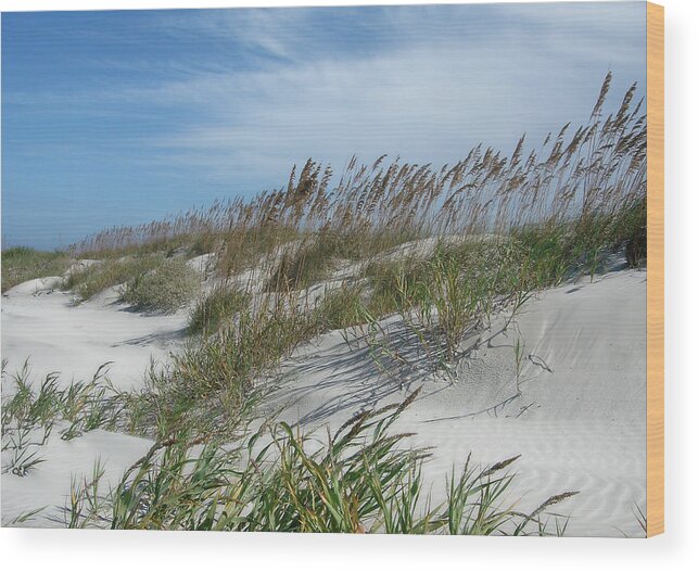 Sea Wood Print featuring the photograph Sea Oats by Ellen Tully