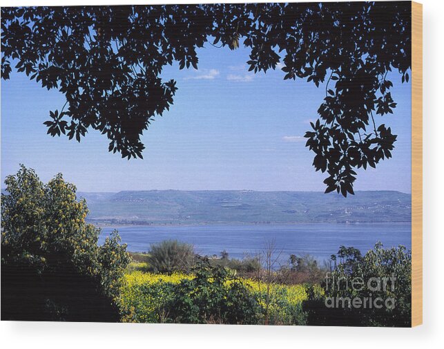 Sea Of Galilee Wood Print featuring the photograph Sea of Galilee from Mount of the Beatitudes by Thomas R Fletcher