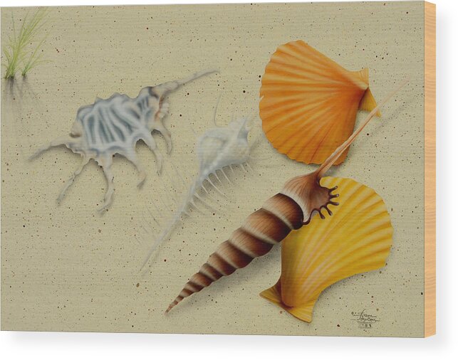 Seashells Wood Print featuring the painting Seashells by Sam Davis Johnson