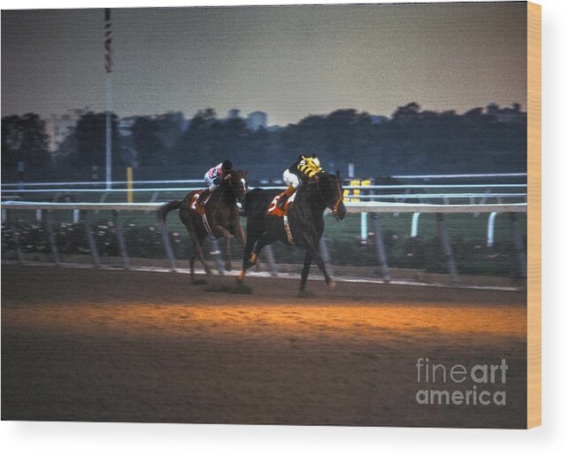 Seattle Slew And Affirmed Wood Print featuring the photograph Seattle Slew and Affirmed by Marc Bittan