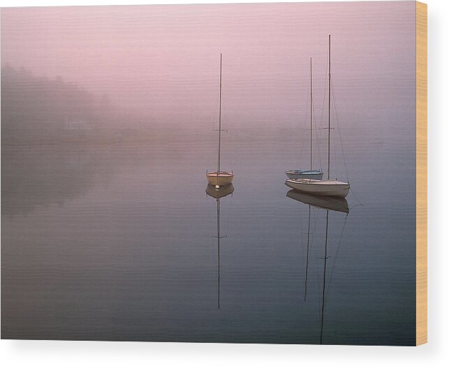 Early Morning Wood Print featuring the photograph Serene Morning by Inge Riis McDonald