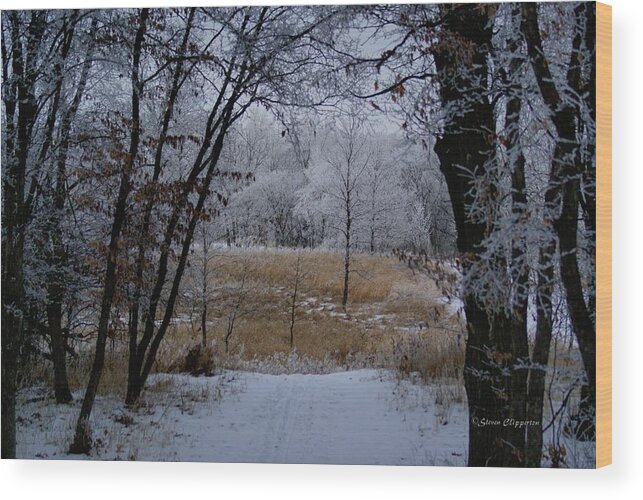 Nature Wood Print featuring the photograph Serene Scene by Steven Clipperton
