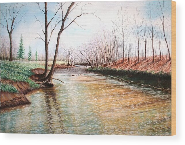 Water Wood Print featuring the pastel Shelby Stream by Stacy C Bottoms