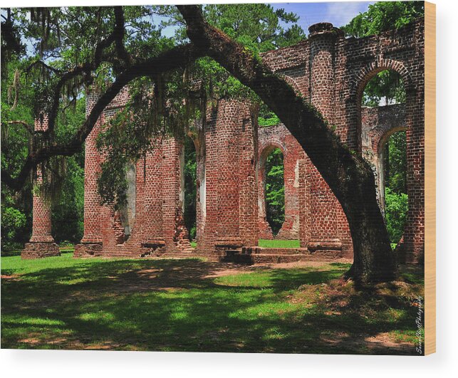 Sheldon Wood Print featuring the photograph Sheldon Church Ruins in South Carolina by Susan Cliett
