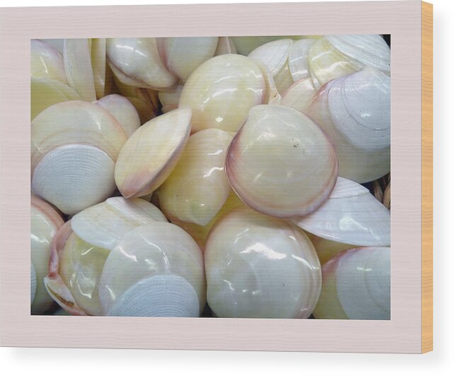 Shells Wood Print featuring the photograph Shells - 6 by Carla Parris