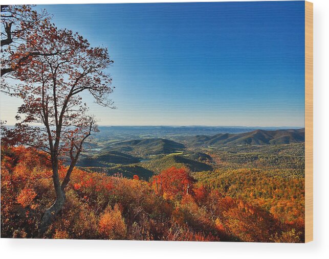Shenandoah Wood Print featuring the photograph Shenandoah in the Late Afternoon Sunshine by SCB Captures