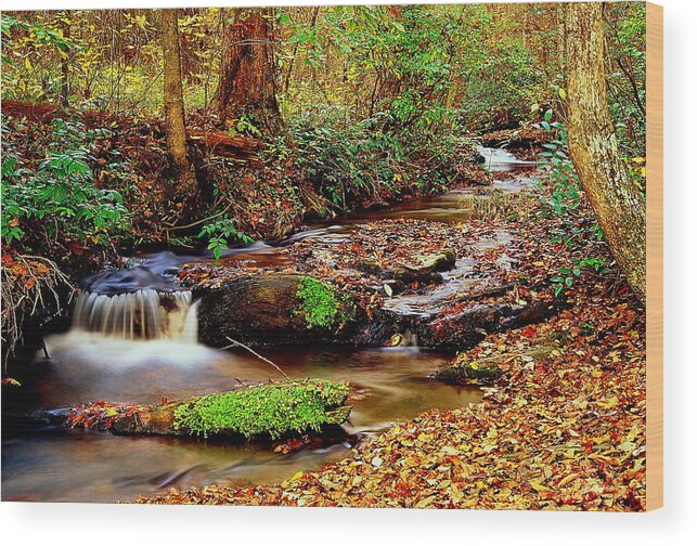 Fine Art Wood Print featuring the photograph Small Waterfall and Stream 2 by Rodney Lee Williams