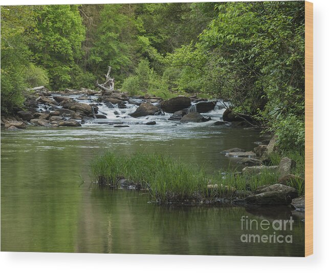 Waterfall Wood Print featuring the photograph Small Waterfall by Louise St Romain