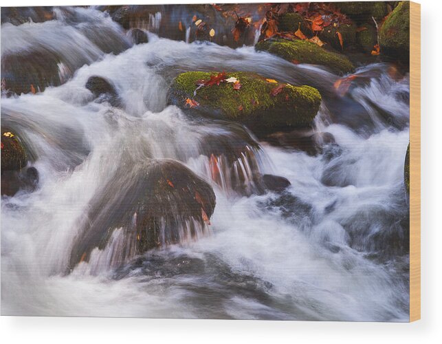 Stream Wood Print featuring the photograph Smoky Mtn stream - 429 by Paul W Faust - Impressions of Light