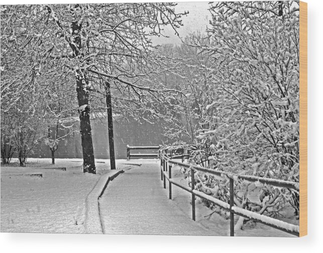 Snow Wood Print featuring the photograph Snow along the path by Andy Lawless