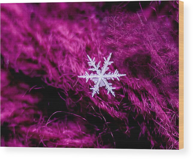 Crystal Wood Print featuring the photograph Snowflake on Magenta by Dawn Key