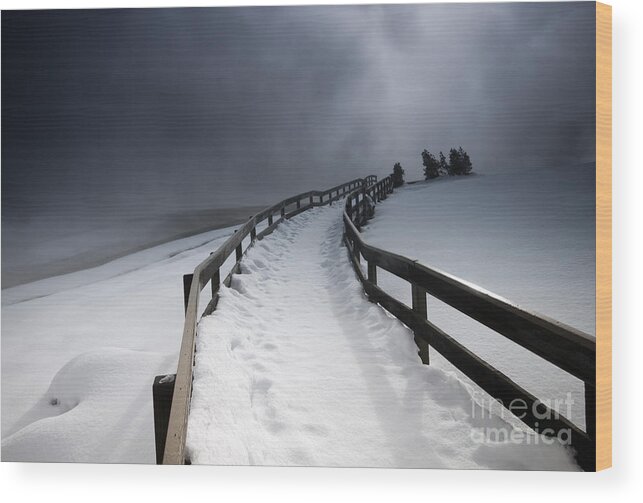 Winter Wood Print featuring the photograph Snowy Pathway by David Lichtneker