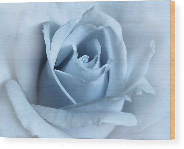 Rose Wood Print featuring the photograph Softness of a Blue Rose Flower by Jennie Marie Schell