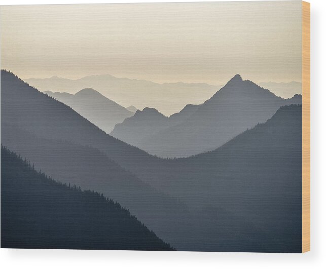 Evening Light Wood Print featuring the photograph Sostice in the Olympic Mountains by Ronda Broatch