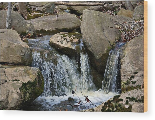 Landscape Wood Print featuring the photograph Sourland Mountain Waterfall by Steven Richman