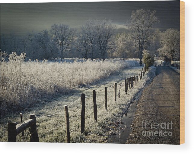  Wood Print featuring the photograph Sparks Lane December 2011 by Douglas Stucky
