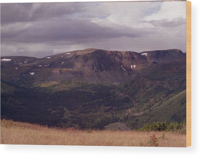 Plateau Wood Print featuring the photograph Spatzizzi Plateau by Vivian Martin