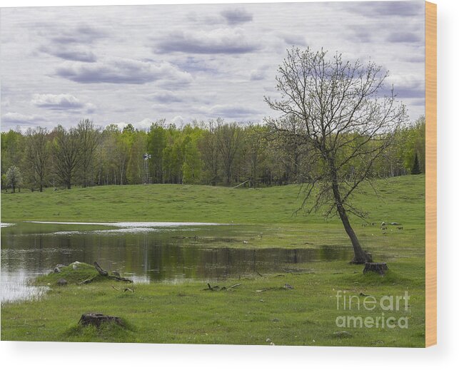 Spring Landscape Wood Print featuring the photograph Spring Time Machine by Dan Hefle
