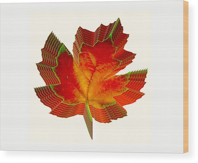 Leaf Wood Print featuring the photograph Stacked Maple Leaf by Susan Elizabeth Dalton