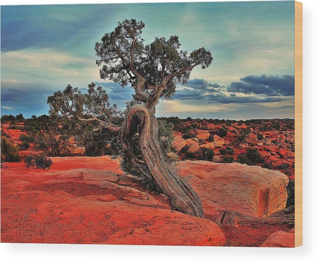 Canyonlands Wood Print featuring the photograph Strength by Benjamin Yeager